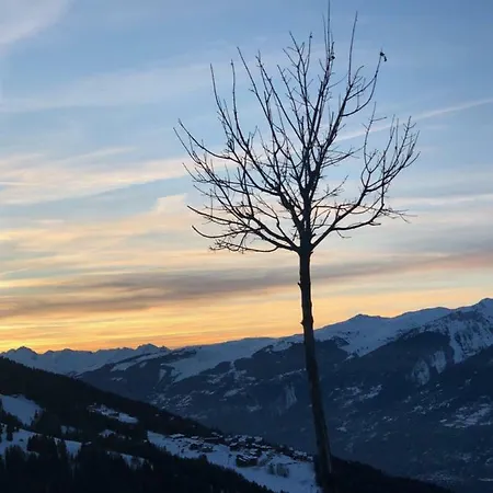 Apartment Le Falyoucher Peisey-Nancroix